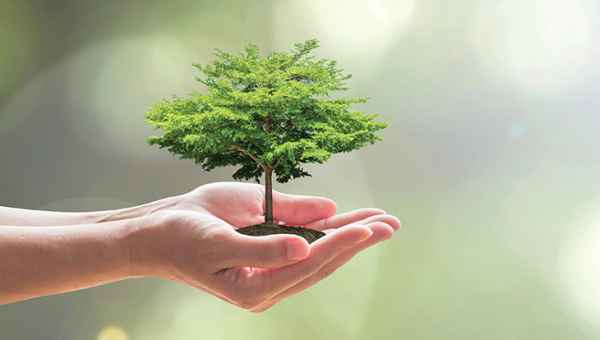 Katı Yakıtları Kullanmamak